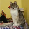 Отзыв от Олеся Иванова
